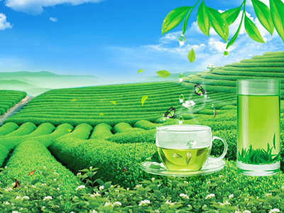RFID系統(tǒng)在茶葉制品各個環(huán)節(jié)的應(yīng)用
